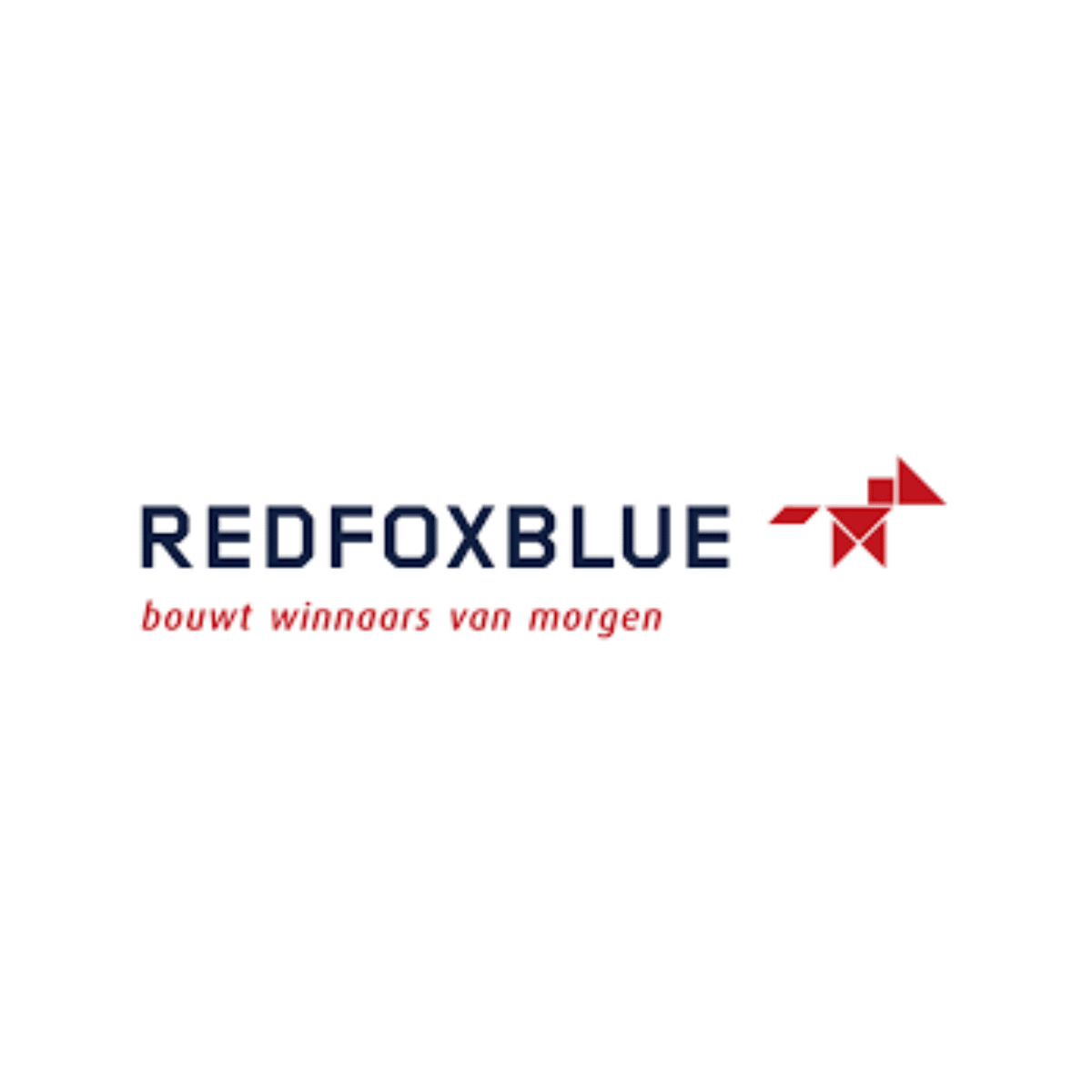 Red Fox Blue - Robert Hamminga (Managing Partner)